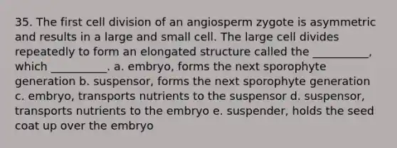 35. The first cell division of an angiosperm zygote is asymmetric and results in a large and small cell. The large cell divides repeatedly to form an elongated structure called the __________, which __________. a. embryo, forms the next sporophyte generation b. suspensor, forms the next sporophyte generation c. embryo, transports nutrients to the suspensor d. suspensor, transports nutrients to the embryo e. suspender, holds the seed coat up over the embryo