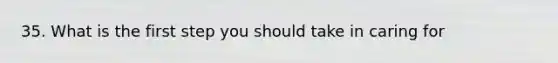 35. What is the first step you should take in caring for