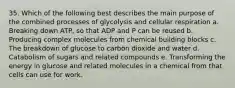 35. Which of the following best describes the main purpose of the combined processes of glycolysis and cellular respiration a. Breaking down ATP, so that ADP and P can be reused b. Producing complex molecules from chemical building blocks c. The breakdown of glucose to carbon dioxide and water d. Catabolism of sugars and related compounds e. Transforming the energy in glucose and related molecules in a chemical from that cells can use for work.