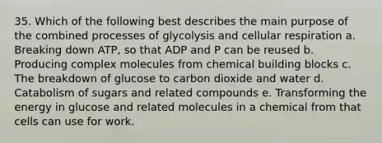 35. Which of the following best describes the main purpose of the combined processes of glycolysis and cellular respiration a. Breaking down ATP, so that ADP and P can be reused b. Producing complex molecules from chemical building blocks c. The breakdown of glucose to carbon dioxide and water d. Catabolism of sugars and related compounds e. Transforming the energy in glucose and related molecules in a chemical from that cells can use for work.