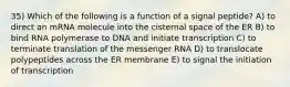 35) Which of the following is a function of a signal peptide? A) to direct an mRNA molecule into the cisternal space of the ER B) to bind RNA polymerase to DNA and initiate transcription C) to terminate translation of the messenger RNA D) to translocate polypeptides across the ER membrane E) to signal the initiation of transcription