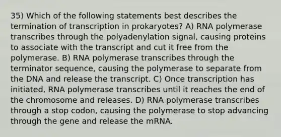 35) Which of the following statements best describes the termination of <a href='https://www.questionai.com/knowledge/krSNCrF0wC-transcription-in-prokaryotes' class='anchor-knowledge'>transcription in prokaryotes</a>? A) RNA polymerase transcribes through the polyadenylation signal, causing proteins to associate with the transcript and cut it free from the polymerase. B) RNA polymerase transcribes through the terminator sequence, causing the polymerase to separate from the DNA and release the transcript. C) Once transcription has initiated, RNA polymerase transcribes until it reaches the end of the chromosome and releases. D) RNA polymerase transcribes through a stop codon, causing the polymerase to stop advancing through the gene and release the mRNA.