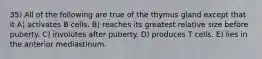 35) All of the following are true of the thymus gland except that it A) activates B cells. B) reaches its greatest relative size before puberty. C) involutes after puberty. D) produces T cells. E) lies in the anterior mediastinum.