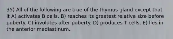 35) All of the following are true of the thymus gland except that it A) activates B cells. B) reaches its greatest relative size before puberty. C) involutes after puberty. D) produces T cells. E) lies in the anterior mediastinum.