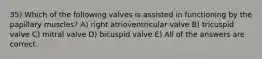 35) Which of the following valves is assisted in functioning by the papillary muscles? A) right atrioventricular valve B) tricuspid valve C) mitral valve D) bicuspid valve E) All of the answers are correct.