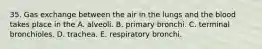 35. Gas exchange between the air in the lungs and the blood takes place in the A. alveoli. B. primary bronchi. C. terminal bronchioles. D. trachea. E. respiratory bronchi.