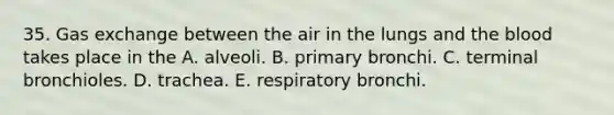 35. Gas exchange between the air in the lungs and the blood takes place in the A. alveoli. B. primary bronchi. C. terminal bronchioles. D. trachea. E. respiratory bronchi.