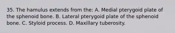 35. The hamulus extends from the: A. Medial pterygoid plate of the sphenoid bone. B. Lateral pterygoid plate of the sphenoid bone. C. Styloid process. D. Maxillary tuberosity.