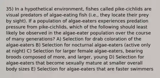 35) In a hypothetical environment, fishes called pike-cichlids are visual predators of algae-eating fish (i.e., they locate their prey by sight). If a population of algae-eaters experiences predation pressure from pike-cichlids, which of the following should least likely be observed in the algae-eater population over the course of many generations? A) Selection for drab coloration of the algae-eaters B) Selection for nocturnal algae-eaters (active only at night) C) Selection for larger female algae-eaters, bearing broods composed of more, and larger, young D) Selection for algae-eaters that become sexually mature at smaller overall body sizes E) Selection for algae-eaters that are faster swimmers