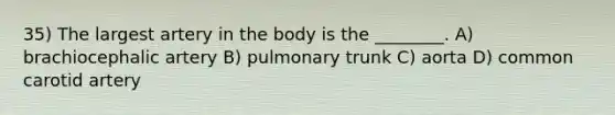 35) The largest artery in the body is the ________. A) brachiocephalic artery B) pulmonary trunk C) aorta D) common carotid artery