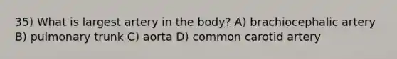 35) What is largest artery in the body? A) brachiocephalic artery B) pulmonary trunk C) aorta D) common carotid artery