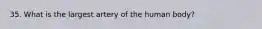 35. What is the largest artery of the human body?