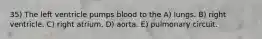 35) The left ventricle pumps blood to the A) lungs. B) right ventricle. C) right atrium. D) aorta. E) pulmonary circuit.