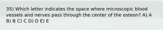 35) Which letter indicates the space where microscopic blood vessels and nerves pass through the center of the osteon? A) A B) B C) C D) D E) E