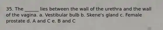 35. The ______ lies between the wall of the urethra and the wall of the vagina. a. Vestibular bulb b. Skene's gland c. Female prostate d. A and C e. B and C