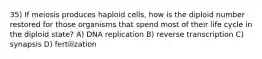 35) If meiosis produces haploid cells, how is the diploid number restored for those organisms that spend most of their life cycle in the diploid state? A) DNA replication B) reverse transcription C) synapsis D) fertilization