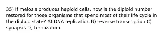 35) If meiosis produces haploid cells, how is the diploid number restored for those organisms that spend most of their life cycle in the diploid state? A) DNA replication B) reverse transcription C) synapsis D) fertilization