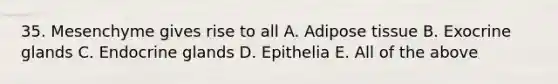 35. Mesenchyme gives rise to all A. Adipose tissue B. Exocrine glands C. Endocrine glands D. Epithelia E. All of the above