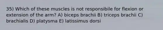35) Which of these muscles is not responsibile for flexion or extension of the arm? A) biceps brachii B) triceps brachii C) brachialis D) platysma E) latissimus dorsi