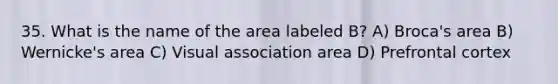 35. What is the name of the area labeled B? A) Broca's area B) Wernicke's area C) Visual association area D) Prefrontal cortex