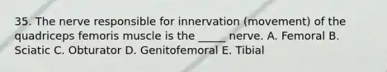 35. The nerve responsible for innervation (movement) of the quadriceps femoris muscle is the _____ nerve. A. Femoral B. Sciatic C. Obturator D. Genitofemoral E. Tibial