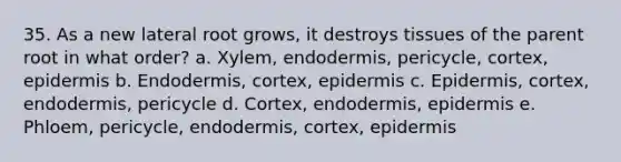 35. As a new lateral root grows, it destroys tissues of the parent root in what order? a. Xylem, endodermis, pericycle, cortex, epidermis b. Endodermis, cortex, epidermis c. Epidermis, cortex, endodermis, pericycle d. Cortex, endodermis, epidermis e. Phloem, pericycle, endodermis, cortex, epidermis