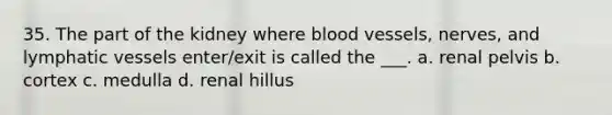 35. The part of the kidney where blood vessels, nerves, and lymphatic vessels enter/exit is called the ___. a. renal pelvis b. cortex c. medulla d. renal hillus