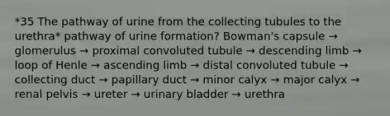 *35 The pathway of urine from the collecting tubules to the urethra* pathway of urine formation? Bowman's capsule → glomerulus → proximal convoluted tubule → descending limb → loop of Henle → ascending limb → distal convoluted tubule → collecting duct → papillary duct → minor calyx → major calyx → renal pelvis → ureter → urinary bladder → urethra