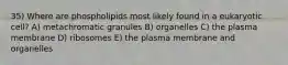 35) Where are phospholipids most likely found in a eukaryotic cell? A) metachromatic granules B) organelles C) the plasma membrane D) ribosomes E) the plasma membrane and organelles