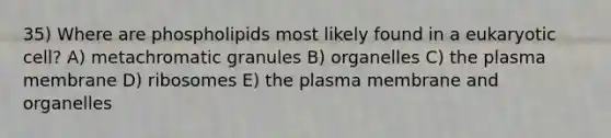 35) Where are phospholipids most likely found in a eukaryotic cell? A) metachromatic granules B) organelles C) the plasma membrane D) ribosomes E) the plasma membrane and organelles