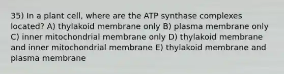 35) In a plant cell, where are the ATP synthase complexes located? A) thylakoid membrane only B) plasma membrane only C) inner mitochondrial membrane only D) thylakoid membrane and inner mitochondrial membrane E) thylakoid membrane and plasma membrane