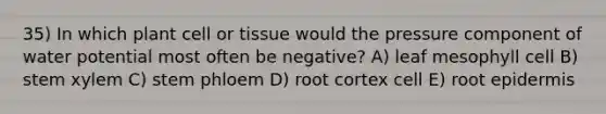 35) In which plant cell or tissue would the pressure component of water potential most often be negative? A) leaf mesophyll cell B) stem xylem C) stem phloem D) root cortex cell E) root epidermis