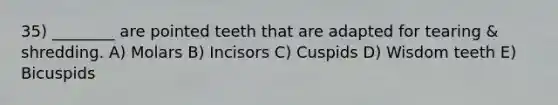 35) ________ are pointed teeth that are adapted for tearing & shredding. A) Molars B) Incisors C) Cuspids D) Wisdom teeth E) Bicuspids