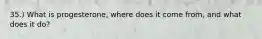 35.) What is progesterone, where does it come from, and what does it do?