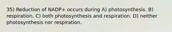 35) Reduction of NADP+ occurs during A) photosynthesis. B) respiration. C) both photosynthesis and respiration. D) neither photosynthesis nor respiration.