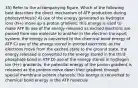 35) Refer to the accompanying figure. Which of the following best describes the direct mechanism of ATP production during photosynthesis? A) use of the energy generated as hydrogen ions (H+) move up a proton gradient; this energy is used to make ATP B) use of the energy released as excited electrons are passed from one molecule to another in the electron transport system; the energy is converted to the chemical bond energy of ATP C) use of the energy stored in excited electrons; as the electrons move from the excited state to the ground state, the energy released is converted to the energy stored in the third phosphate bond in ATP D) use of the energy stored in hydrogen ion (H+) gradients; the potential energy of the proton gradient is released as the protons move down their gradient through special membrane protein channels; this energy is converted to chemical bond energy in the ATP molecule