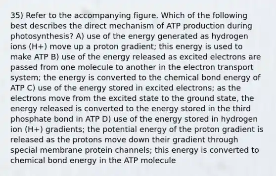 35) Refer to the accompanying figure. Which of the following best describes the direct mechanism of ATP production during photosynthesis? A) use of the energy generated as hydrogen ions (H+) move up a proton gradient; this energy is used to make ATP B) use of the energy released as excited electrons are passed from one molecule to another in the electron transport system; the energy is converted to the chemical bond energy of ATP C) use of the energy stored in excited electrons; as the electrons move from the excited state to the ground state, the energy released is converted to the energy stored in the third phosphate bond in ATP D) use of the energy stored in hydrogen ion (H+) gradients; the potential energy of the proton gradient is released as the protons move down their gradient through special membrane protein channels; this energy is converted to chemical bond energy in the ATP molecule