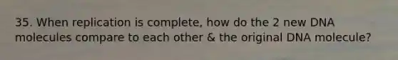 35. When replication is complete, how do the 2 new DNA molecules compare to each other & the original DNA molecule?