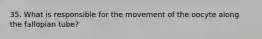 35. What is responsible for the movement of the oocyte along the fallopian tube?