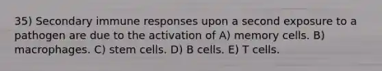 35) Secondary immune responses upon a second exposure to a pathogen are due to the activation of A) memory cells. B) macrophages. C) stem cells. D) B cells. E) T cells.