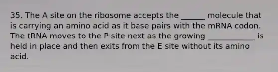 35. The A site on the ribosome accepts the ______ molecule that is carrying an amino acid as it base pairs with the mRNA codon. The tRNA moves to the P site next as the growing ____________ is held in place and then exits from the E site without its amino acid.