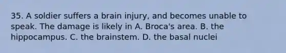 35. A soldier suffers a brain injury, and becomes unable to speak. The damage is likely in A. Broca's area. B. the hippocampus. C. the brainstem. D. the basal nuclei