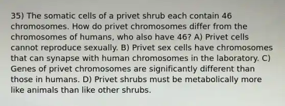 35) The somatic cells of a privet shrub each contain 46 chromosomes. How do privet chromosomes differ from the chromosomes of humans, who also have 46? A) Privet cells cannot reproduce sexually. B) Privet sex cells have chromosomes that can synapse with human chromosomes in the laboratory. C) Genes of privet chromosomes are significantly different than those in humans. D) Privet shrubs must be metabolically more like animals than like other shrubs.