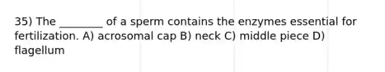 35) The ________ of a sperm contains the enzymes essential for fertilization. A) acrosomal cap B) neck C) middle piece D) flagellum