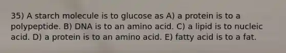 35) A starch molecule is to glucose as A) a protein is to a polypeptide. B) DNA is to an amino acid. C) a lipid is to nucleic acid. D) a protein is to an amino acid. E) fatty acid is to a fat.