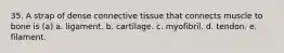 35. A strap of dense connective tissue that connects muscle to bone is (a) a. ligament. b. cartilage. c. myofibril. d. tendon. e. filament.