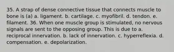 35. A strap of dense connective tissue that connects muscle to bone is (a) a. ligament. b. cartilage. c. myofibril. d. tendon. e. filament. 36. When one muscle group is stimulated, no nervous signals are sent to the opposing group. This is due to a. reciprocal innervation. b. lack of innervation. c. hyperreflexia. d. compensation. e. depolarization.