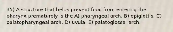 35) A structure that helps prevent food from entering the pharynx prematurely is the A) pharyngeal arch. B) epiglottis. C) palatopharyngeal arch. D) uvula. E) palatoglossal arch.