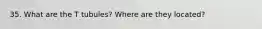 35. What are the T tubules? Where are they located?