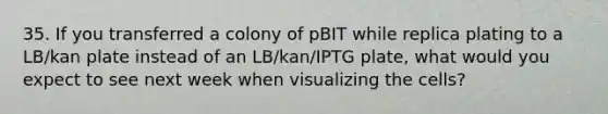 35. If you transferred a colony of pBIT while replica plating to a LB/kan plate instead of an LB/kan/IPTG plate, what would you expect to see next week when visualizing the cells?